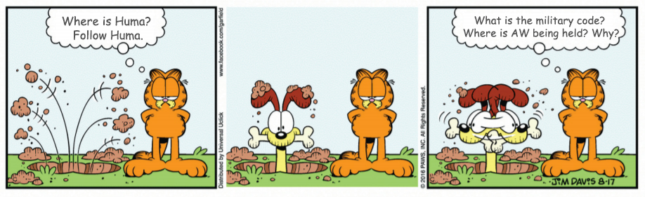 Panel 1: Garfield standing next to a hole in the ground saying 'Where is Huma? Follow Huma'
Panel 2: Garfield standing next to Otie, who has a bone in his mouth in the hole
Panel 3: Otie is shaking his head. Garfield is saying 'What is the military code? Where is AW being held? Why?